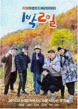 白色橄榄树主创访谈